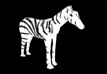 zebre.jpg